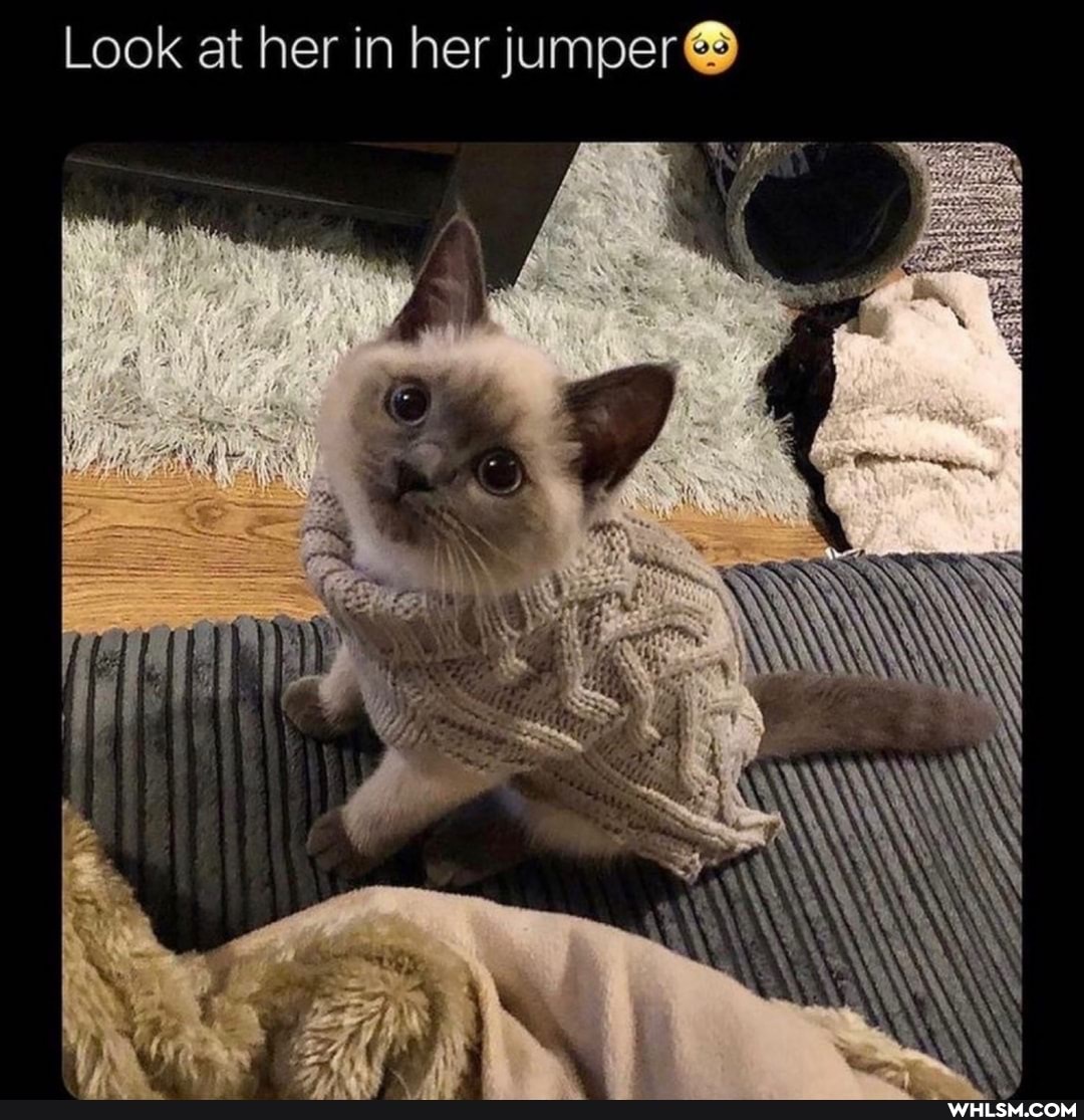 Lo ok at her in her jumper
of