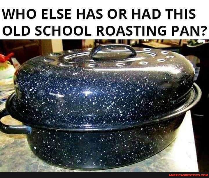 WHO ELSE HAS OR HAD THIS OLD SCHOOL ROASTING PAN?