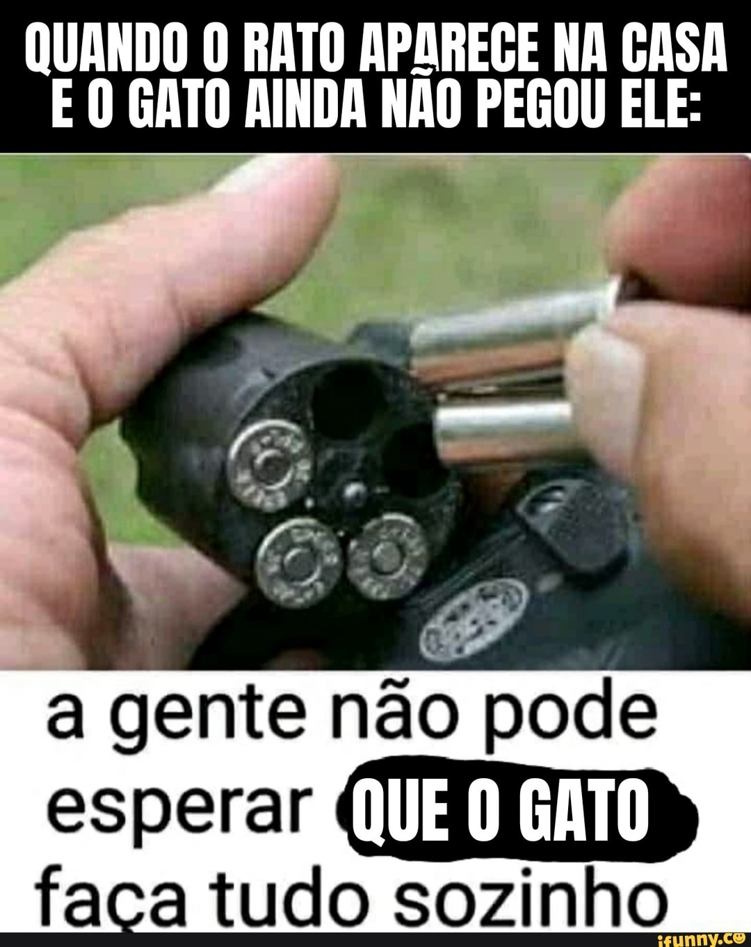 QUANDO O RATO APAREGE NA GASA E O GATO AINDA NÃO PEGOU ELE:
a gente não pode
esperar faca tudo sozinho