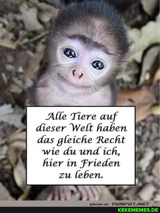 Alle Tiere auf
dieser Welt haben
das gleiche Recht wie du und ich,
hier in Frieden zu leben.