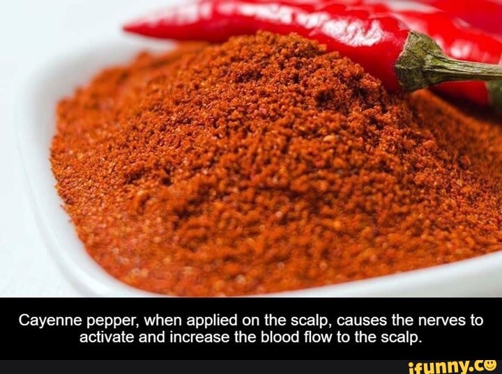 Cayenne pepper, when applied on the scalp, causes the nerves (o activate and increase the blood