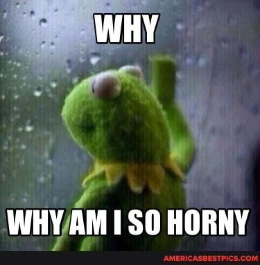 WHY
WHY SO HORNY