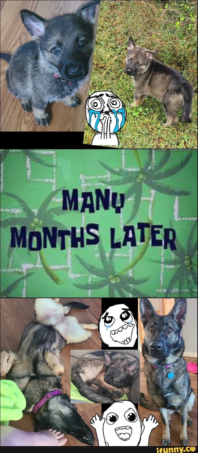 LOL!!! :)