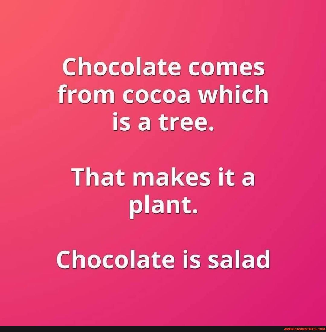 Chocolate comes from cocoa which is a tree. That makes it a plant ...