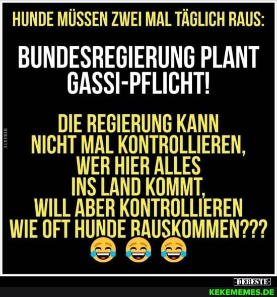 HUNDE MÜSSEN ZWEI MAL TÄGLICH RAUS:
BUNDESREGIERUNG PLANT GASSI-PFLICHT!
DIE REGIERUNG KANN
NICHT MAL KONTROLLIEREN,
WER HIER ALLES
INS LAND KOMMT,
ABER KONTROLLIEREN
