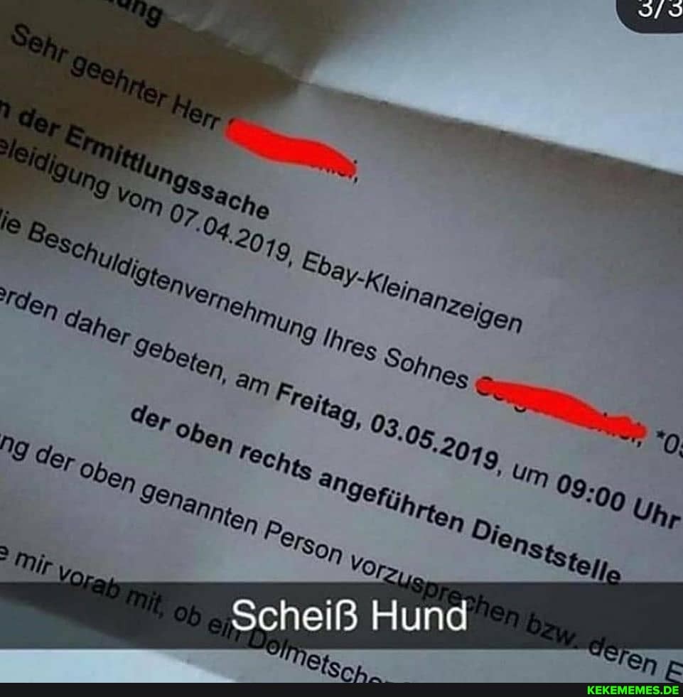 den
Scheiß Hund