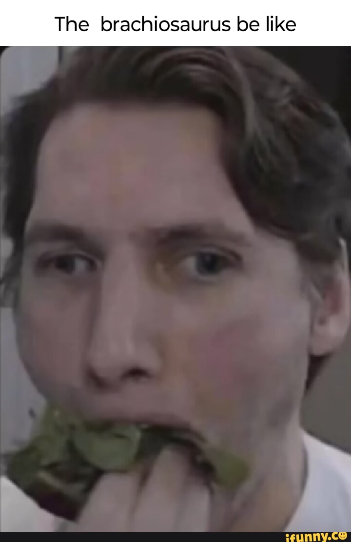 Brachiosaurus memes. Best Collection of funny Brachiosaurus pictures on ...