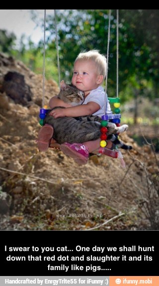 I swear to you cat... One day we shall hunt
down that red dot and slaughter it and its
family like pigs.. - I swear to you cat... One day we shall hunt down that red dot and slaughter it and its family like pigs.....