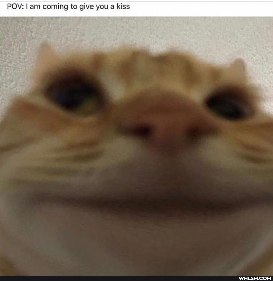 POV: lam coming to give you a kiss