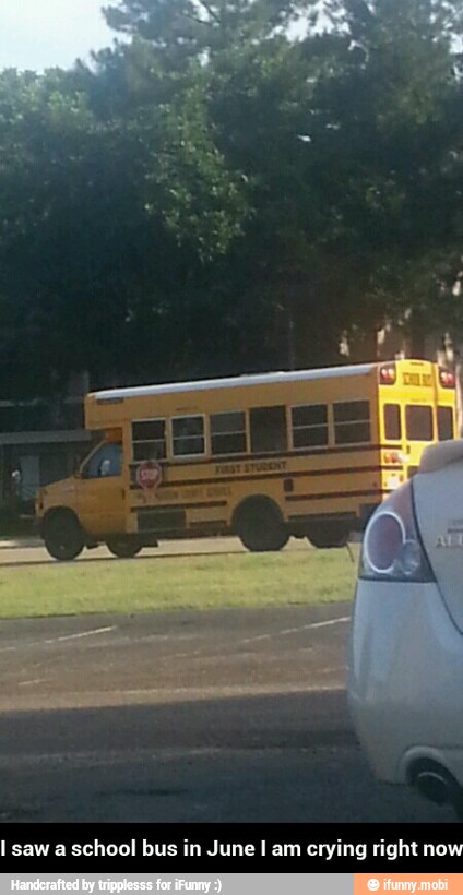 I saw a
school bus in June I am crying right now - I saw a school bus in June I am crying right now