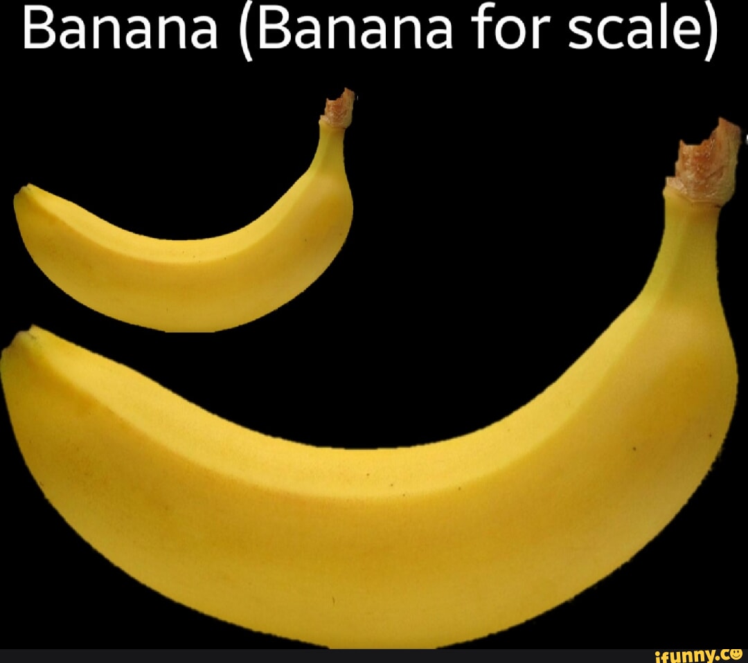 Banana (Banana for scale) - iFunny
