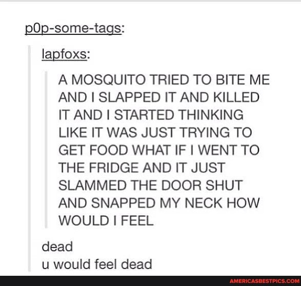 pOp-some-tags: lapfoxs:
A MOSQUITO TRIED TO BITE ME AND I SLAPPED IT AND KILLED IT AND STARTED THINKING LIKE IT WAS JUST TRYING TO GET FOOD WHAT IF I WENT TO THE FRIDGE AND IT JUST SLAMMED THE DOOR SHUT AND SNAPPED MY NECK HOW WOULD I FEEL
dead
faal