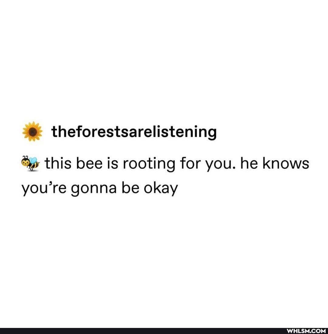 theforestsarelistening
this bee is rooting for you. he knows you're gonna be okay