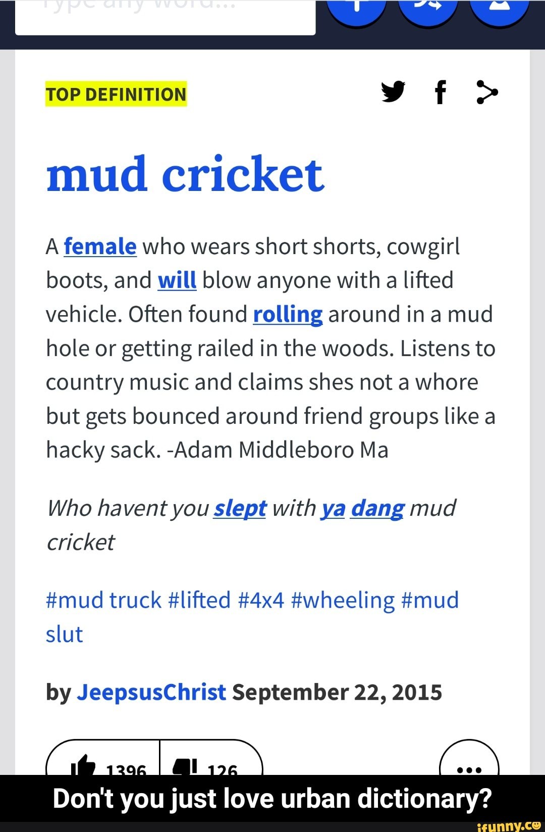 what-is-a-mud-cricket-telegraph