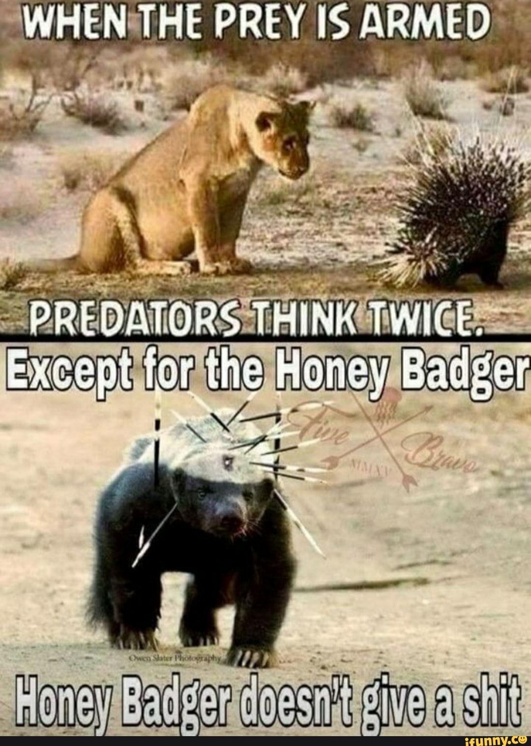 Honey badger don't give a fuk