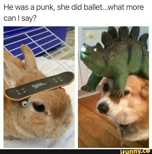 He Was A Punk She Did Ballet What More Ifunny