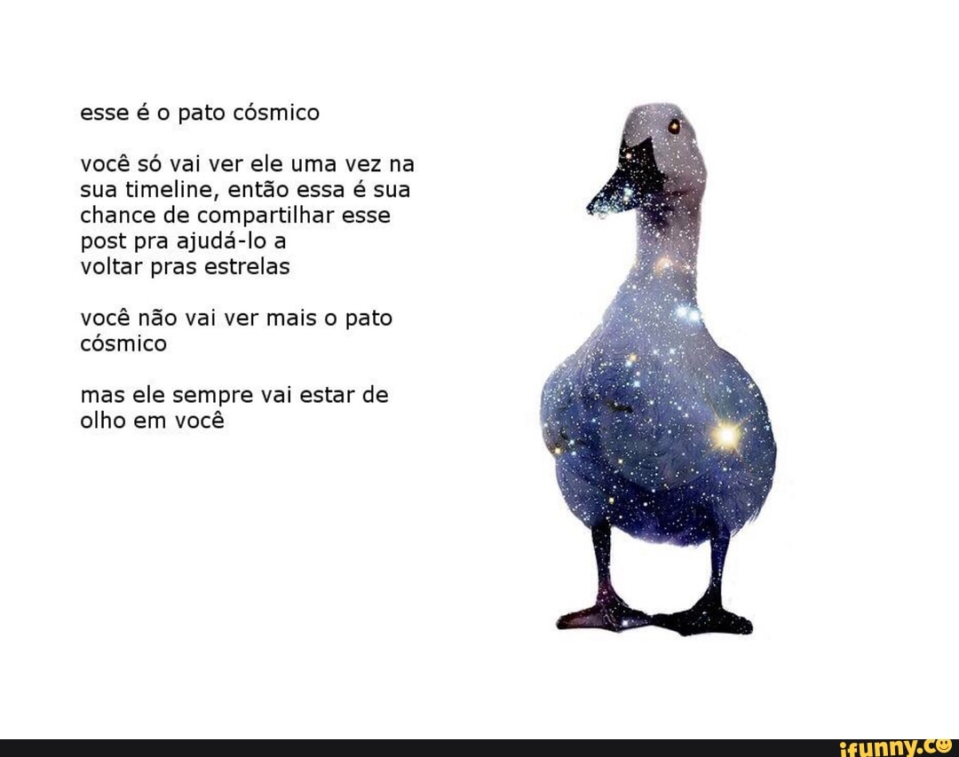 esse é o pato cósmico
você só vai ver ele uma vez na
sua timeline, então essa é sua
chance de compartilhar esse
post pra ajudá-lo a
voltar pras estrelas
você não vai ver mais o pato
mas ele sempre vai estar de
olho em você
