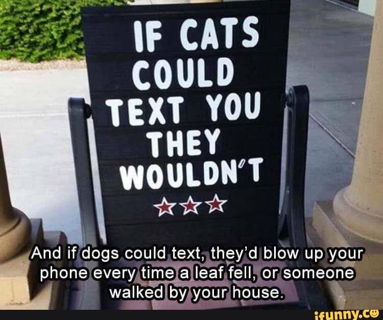 And if dogs could text, they'd blow up your phone every time a leat ifell. or someone walked by your house.