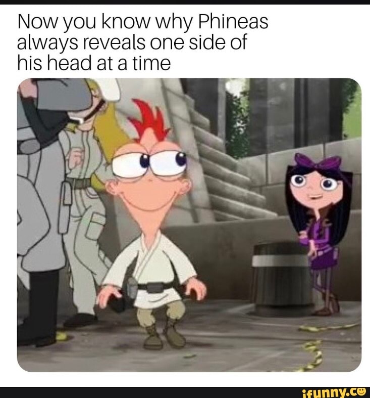 Now you know why Phineas always reveals one side of his head at a time ...