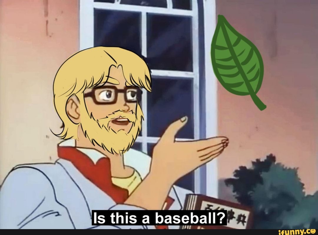 Is this a baseball?