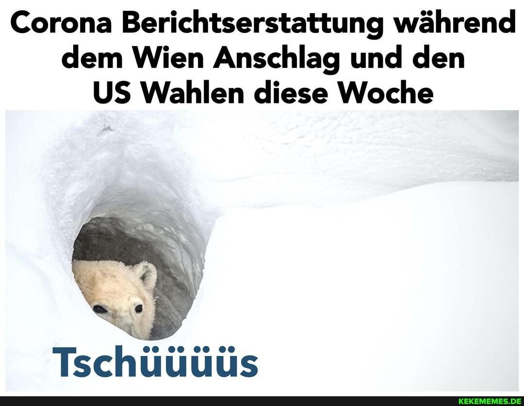 Corona Berichtserstattung während dem Wien Anschlag und den
US Wahlen diese Woche
Tschüüüüs