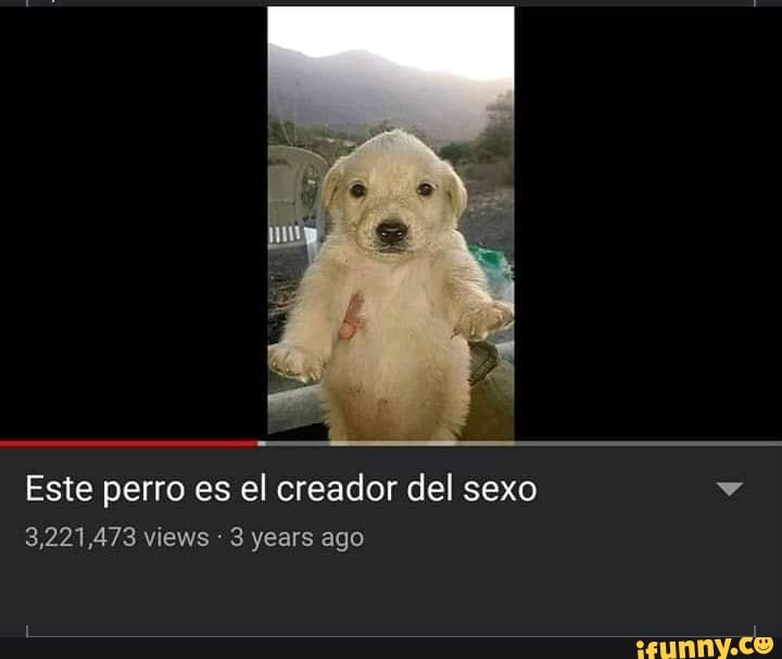 Este Perro Es El Creador Del Sexo Há 3,221,473 Views : 3 Years Ago - IFunny