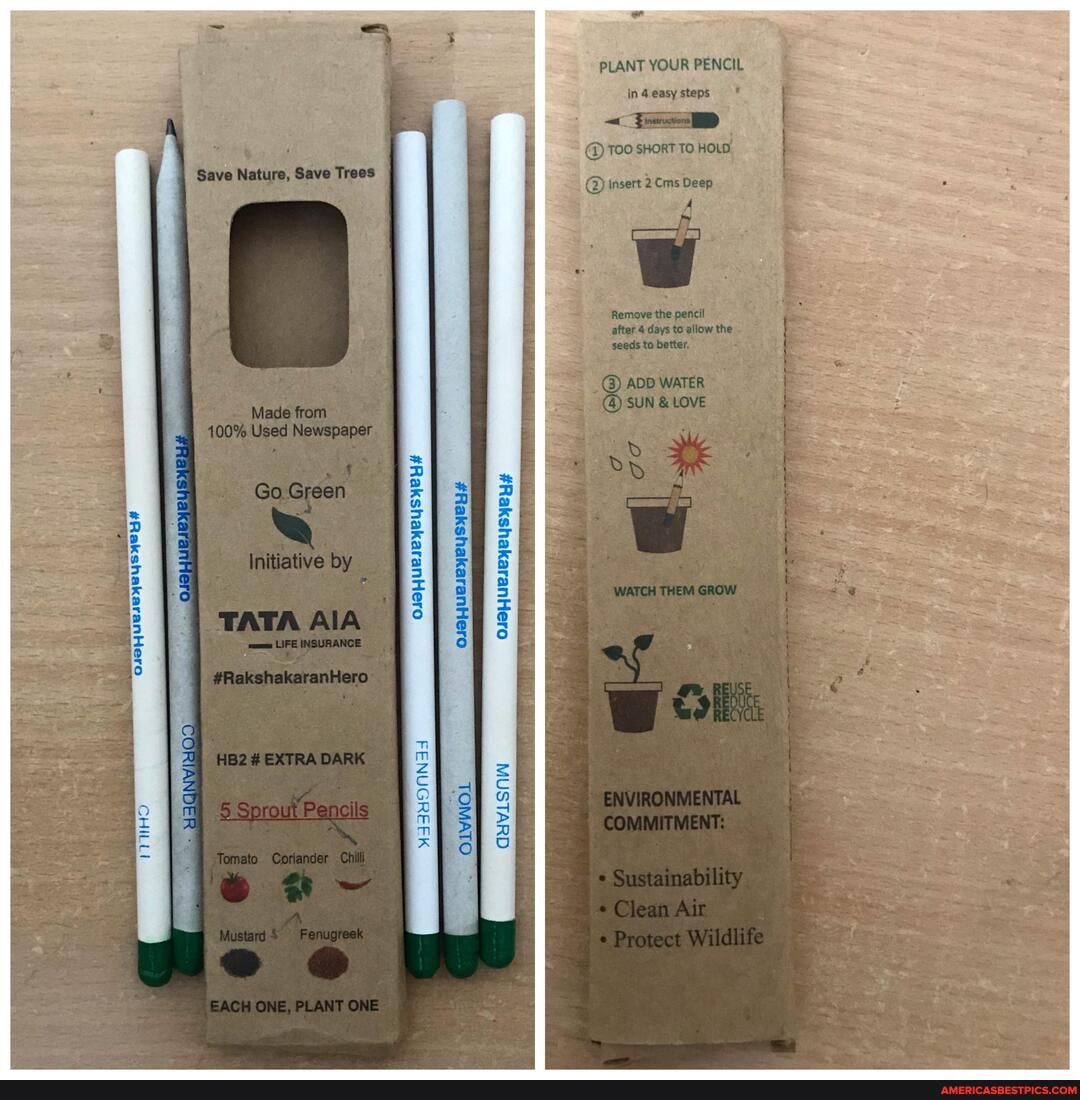 PLANT YOUR PENCIL
in easy steps
@ Too sHoRT TO HOLD
@ insert 2cms Deep
#RakshakaranHero
#RakshakaranHero
Go
by
#RakshakaranHero
MUSTARD TOMATO
ENVIRONMENTAL
FENUGREEK
oN