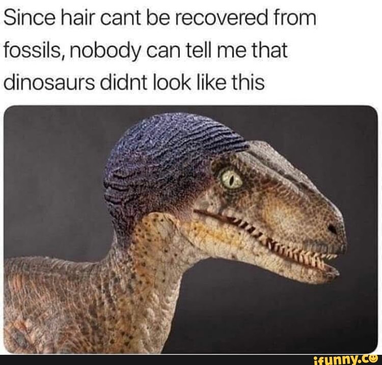 Since hair cant be recovered from fossils, nobody can tell me that dinosaurs didnt look like this