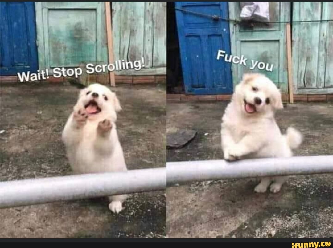 he sro yyatt! Stop Scrowling: ye
SOU
: ws