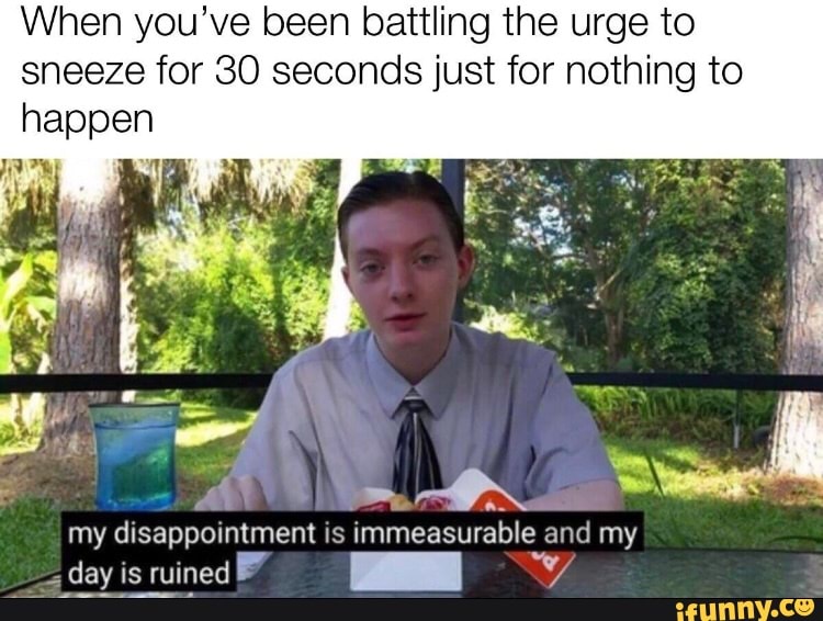 When you've been battling the urge to sneeze for 30 seconds just for nothing to
happen
my disappointment is immeasurable and my
day is ruined