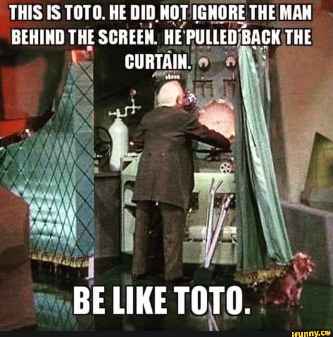 This Is Toto He Did Hot Ignore The Man Behind Screen Pulled Back Curtain Be Like Ifunny
