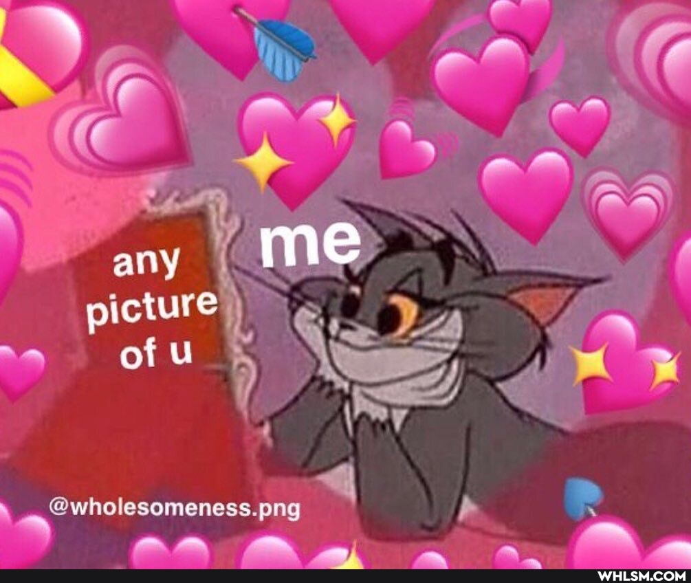 AA any me picture Cius of U
\ @wholesomeness.ong
N Sh