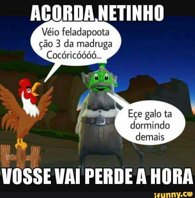 ACORDA NETINHO
ção 3 da madruga
Cocóricódóó...
Eçe galo ta
dormindo