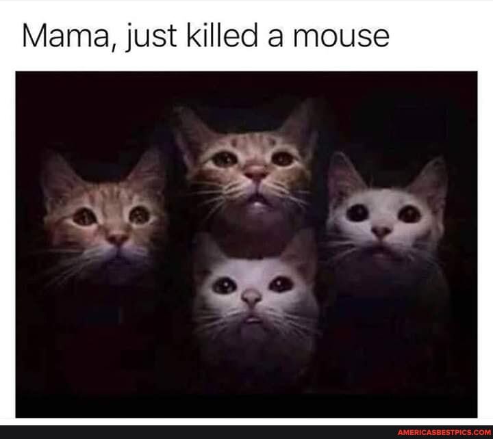 Mama, just killed a mouse