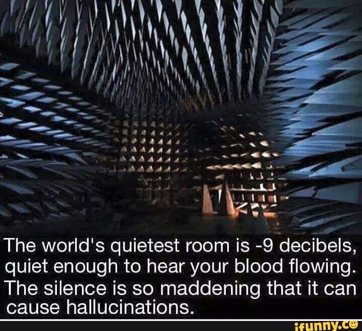 The World S Quietest Room Is 9 Decibels Quiet Enough To