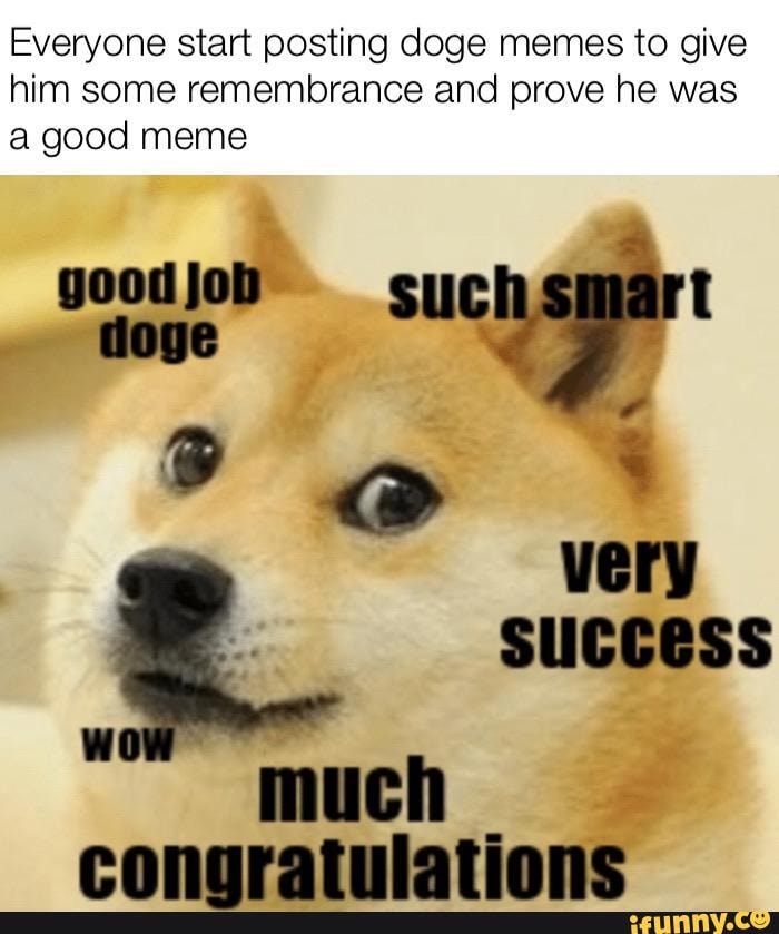 Much meme. Доги Мем. Doge умный. Congratulations Мем. Smart дог.