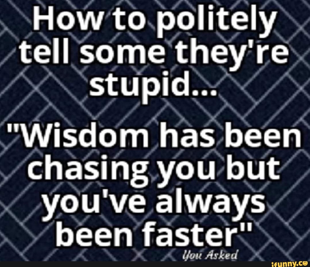 how-to-politely-tell-some-they-re-stupid-wisdom-has-been-chasing-you-but-you-ve-always-been