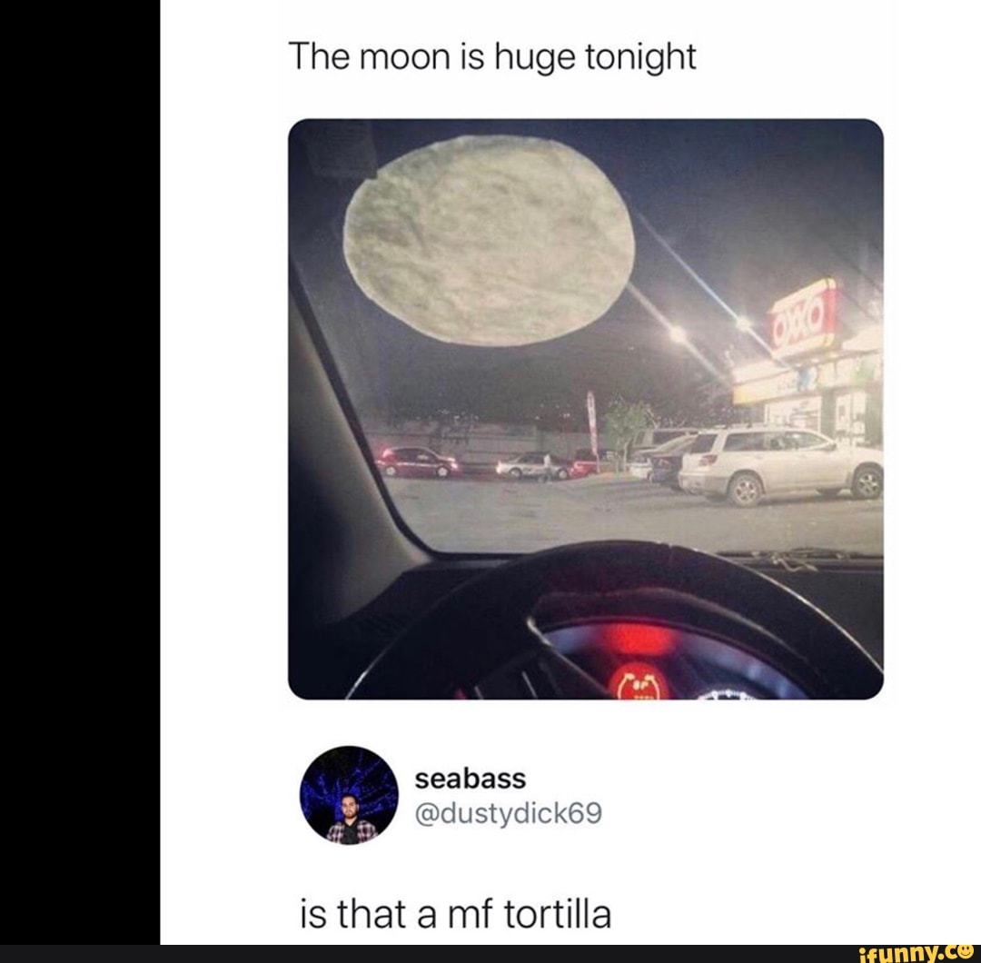 Seabass memes. Best Collection of funny Seabass pictures on iFunny