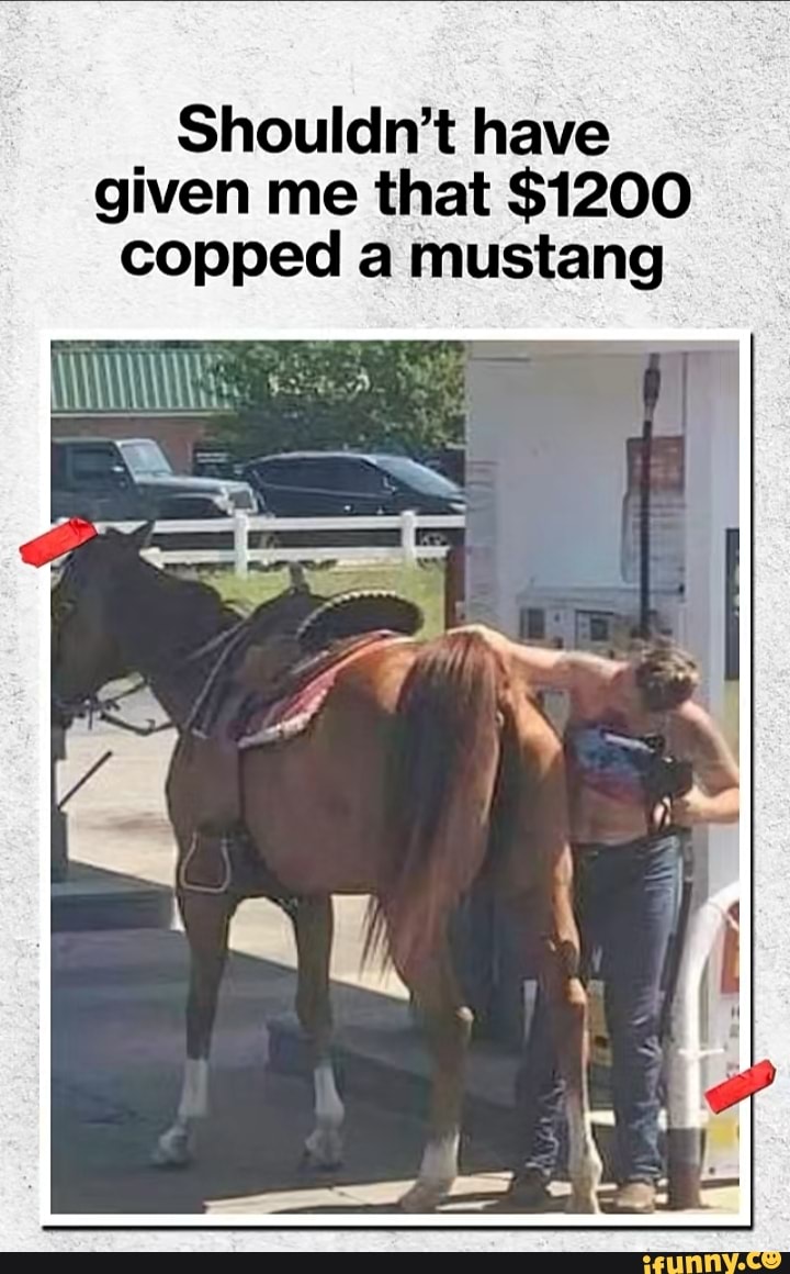 Shouldn't have
given me that $1200
copped a mustang
