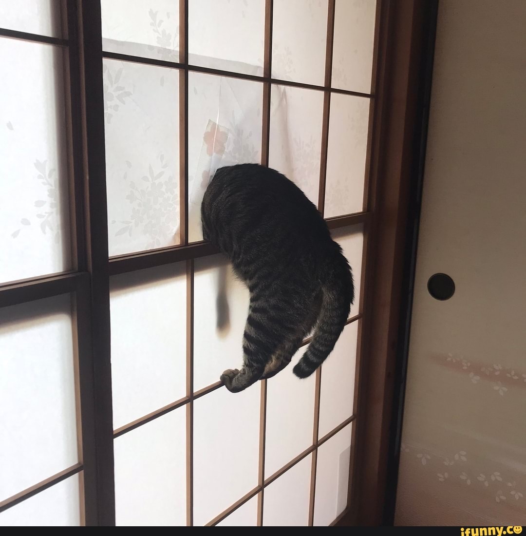 Picture memes 1fBOHxOv8 by goldenest_wu - )