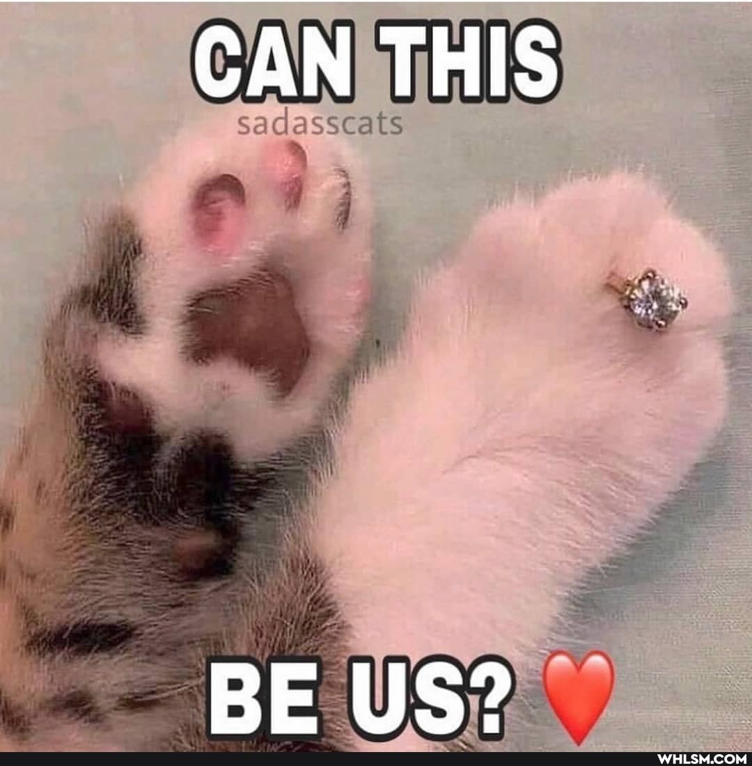 CAN THIS
BE US?