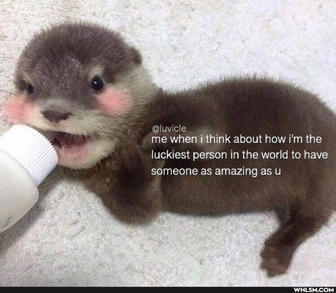 @luvicle me when j think about how i'm the
luckiest person in the world to have someone as amazing as