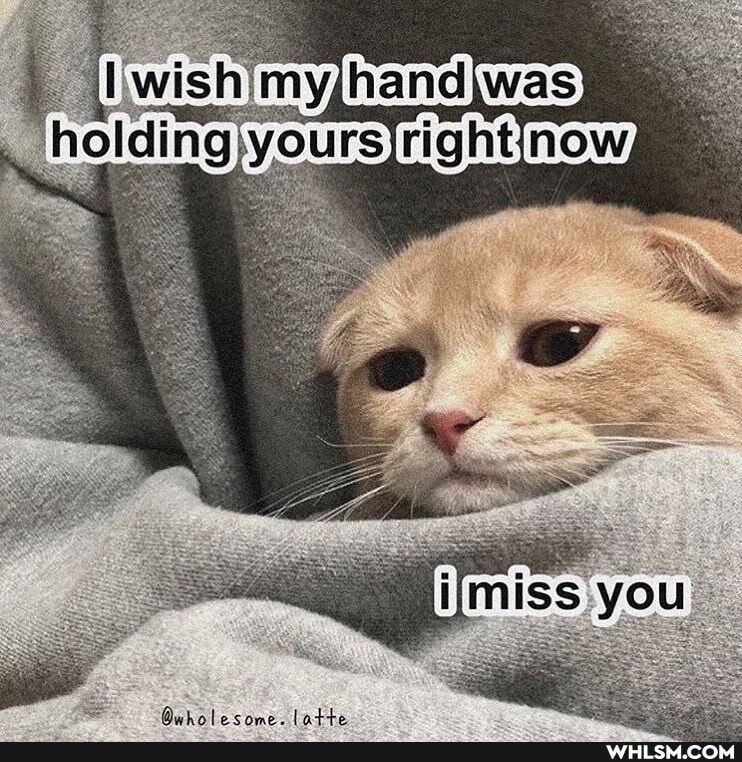 bis
Swish' IS my lhandjwas)
you
Be
dd