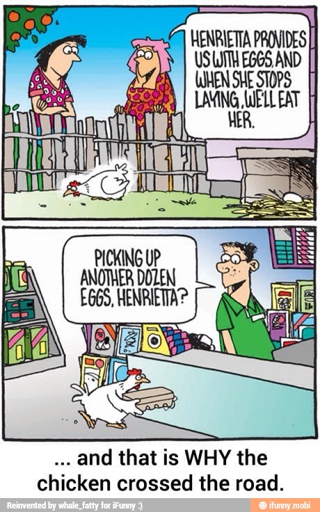 PICKING UP
ER DOZEN
ETA?
ANOTHER DO;
£665, HENRI
and that is WHY the
chicken crossed the road.