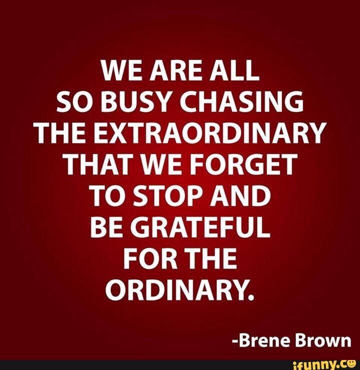 WE ARE ALL SO BUSY CHASING THE EXTRAORDINARY THAT WE FORGET TO ...