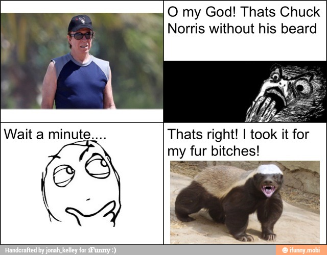O my God! Thats Chuck
Norris without his beard
Thats right! I too!
my fur bitches!
k it for