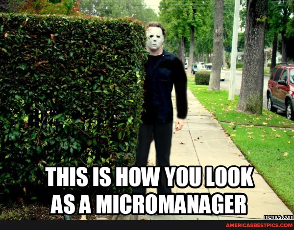 THIS IS HOW YOU LOOK AC A MICROMANACER