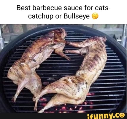 Catchup memes. Best Collection of funny Catchup pictures on iFunny