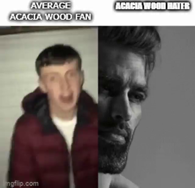 Acacia Memes Acacia Kersey Family Vlogs 2024