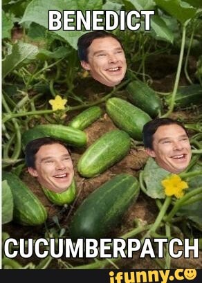 BENEDICT
CUCUMBERPATCH